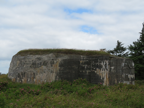 The largest of the three bunkers is 70 m2 and contained a cannon position that covered the waters between Mandø and Fanø. Photo: Charlotte Lindhardt.